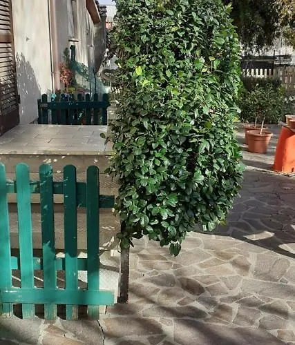 Nocleg ze śniadaniem La Camelia Case Pieve al Toppo